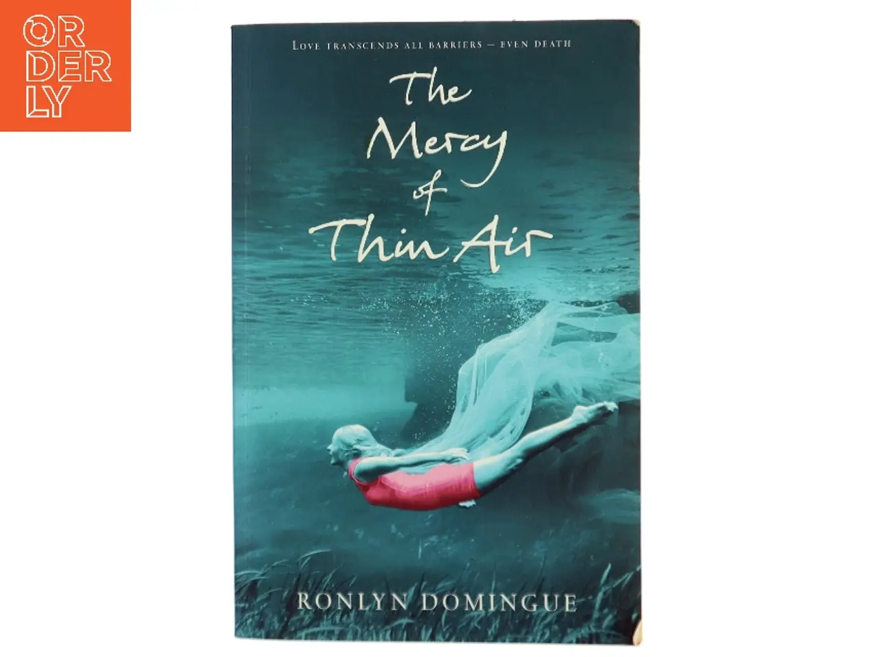 Billede 1 - The mercy of thin air af Ronlyn Domingue (Bog)