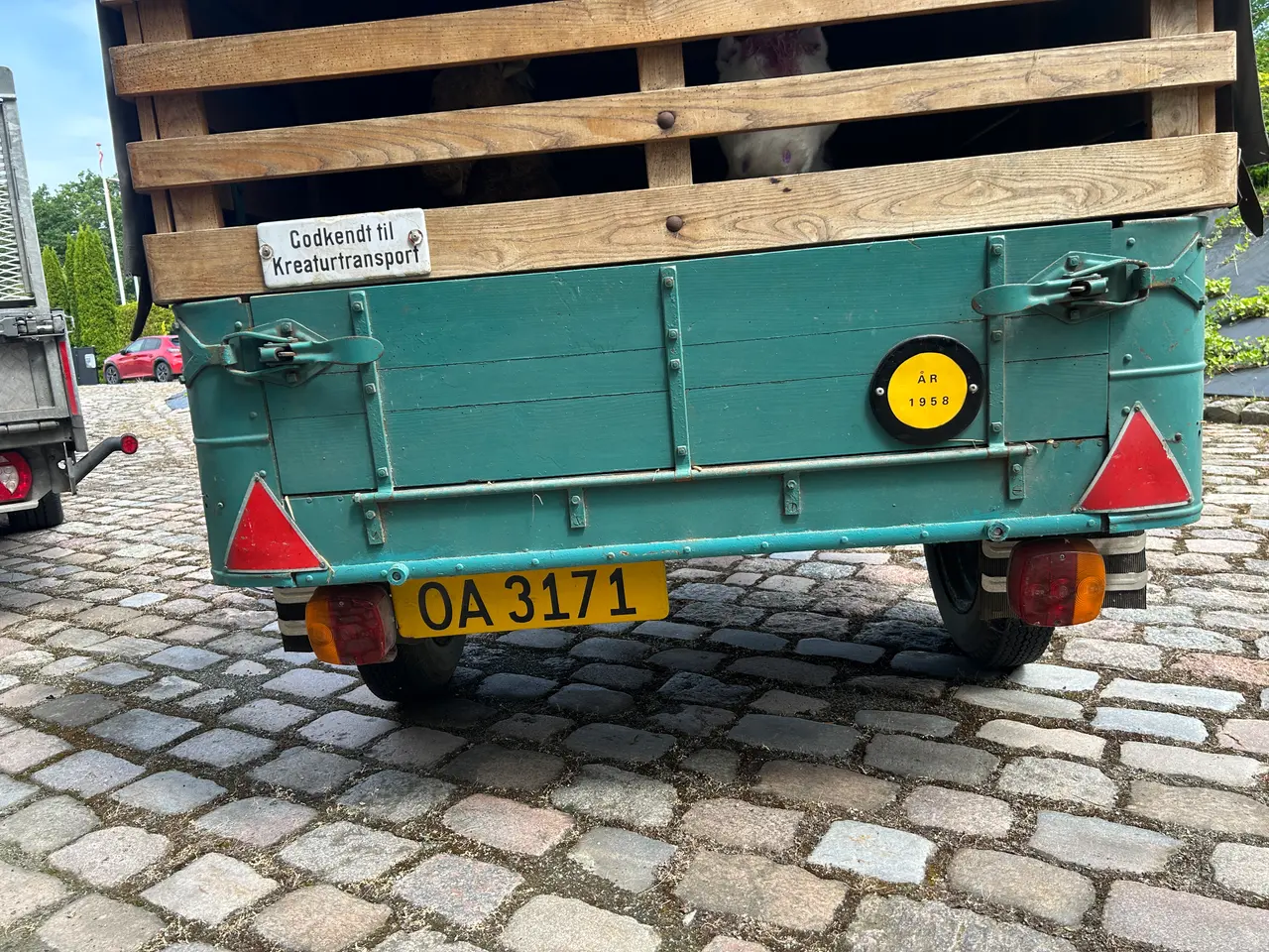 Billede 4 - Brenderup 400 kg trailer årg 1958 med 2 heste
