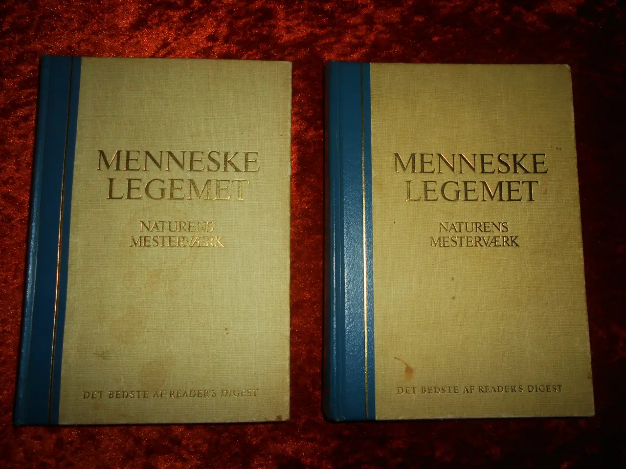 Billede 1 - Menneskelegemet - naturens mesterværk,