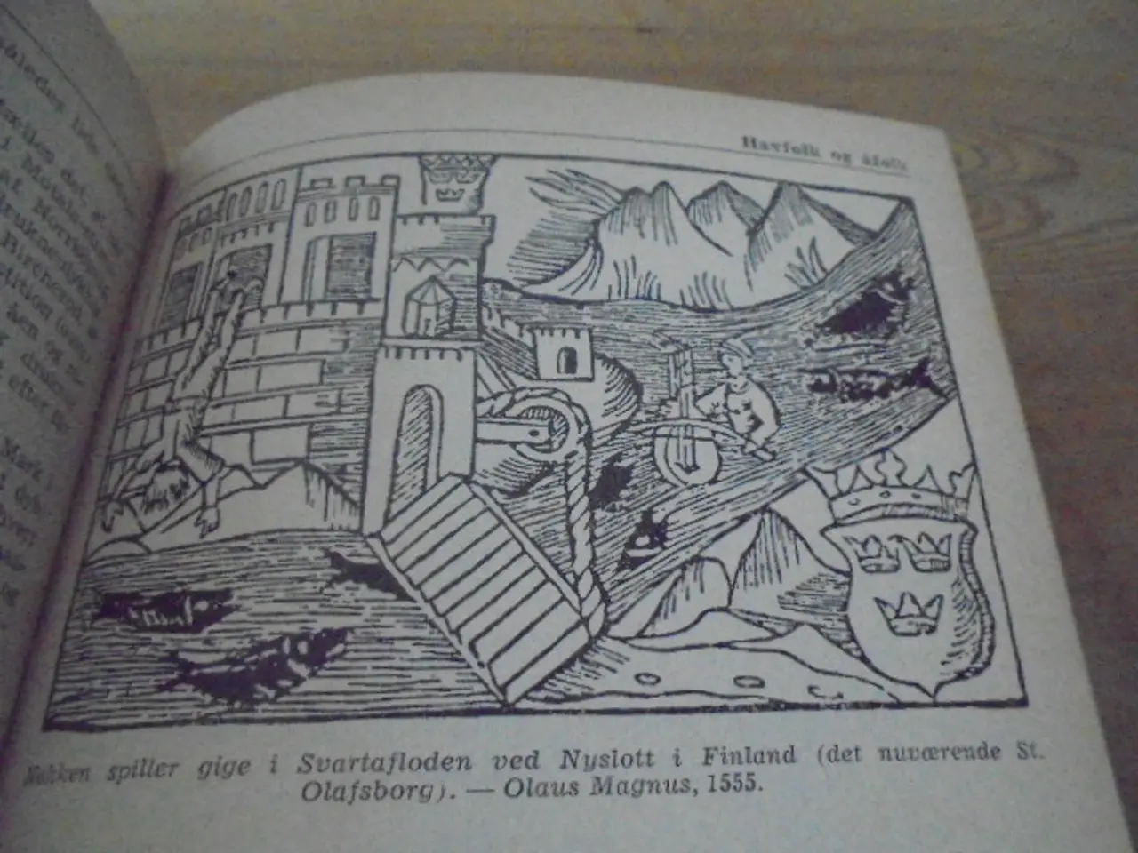 Billede 10 - Fabeldyr og sagnfolk – se fotos og omtale