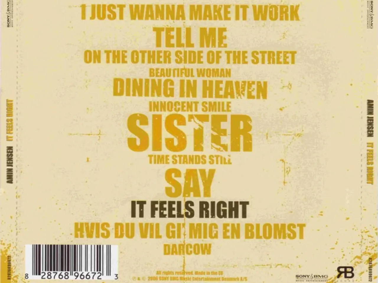 Billede 3 - Amin Jensen – It Feels Right – CD