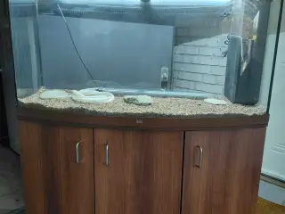 Akvarier 260L
