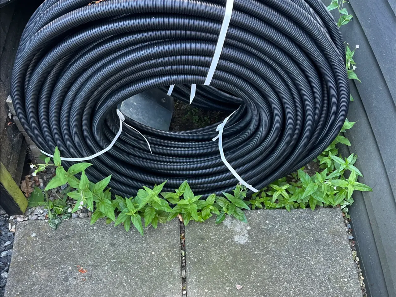 Billede 1 - 100 meter pex 