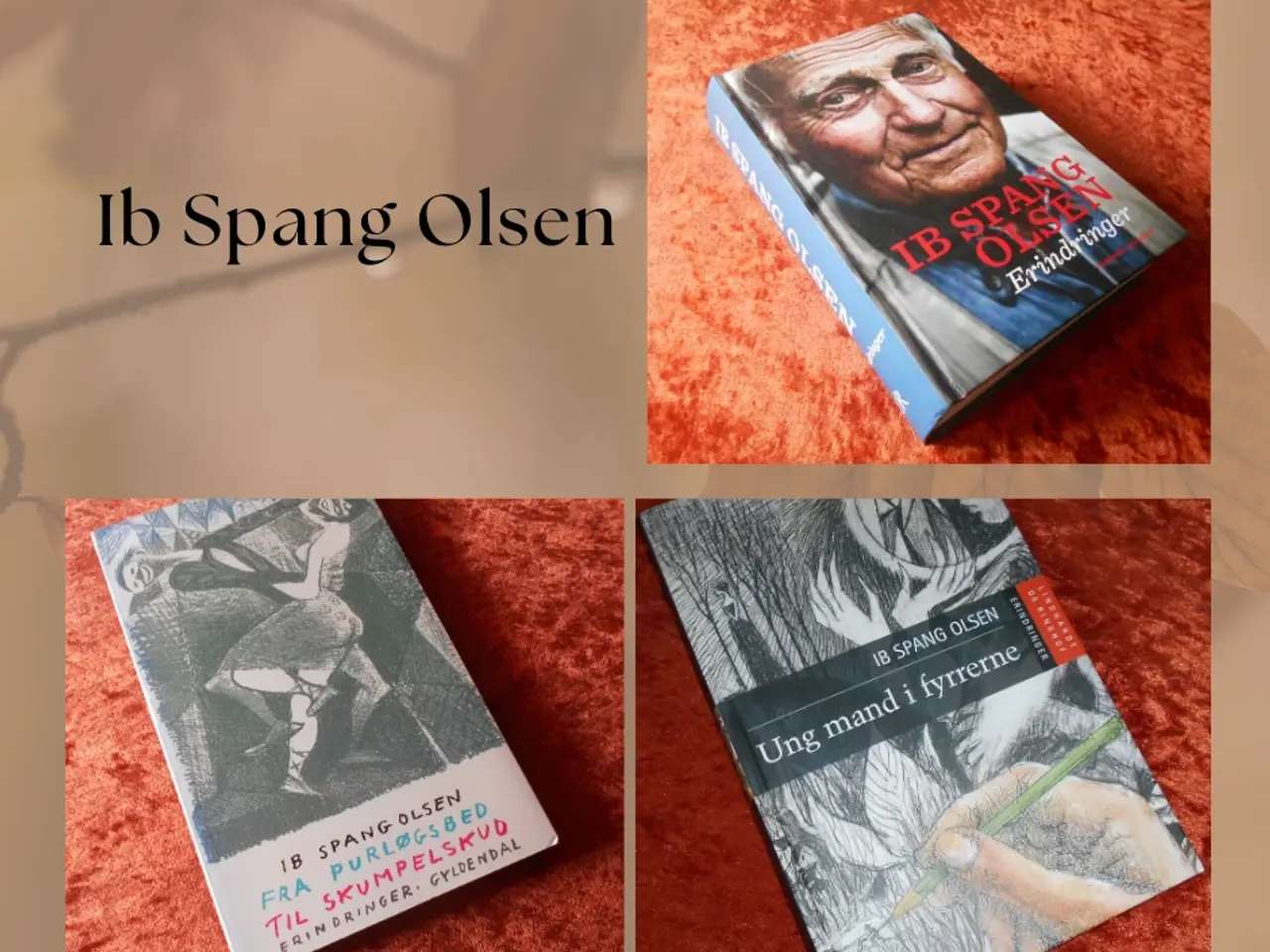 Billede 4 - Ib Spang Olsen
