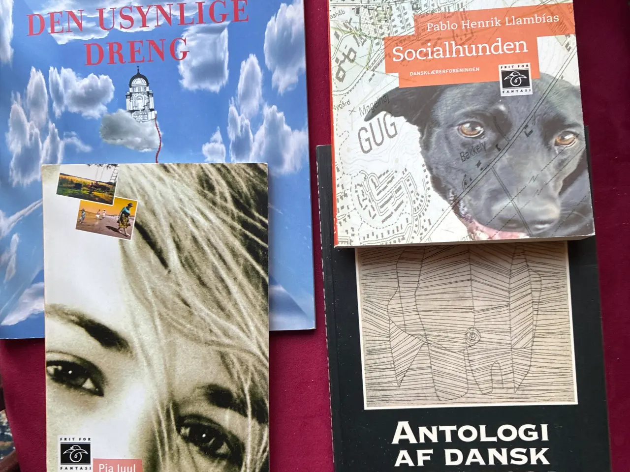 Billede 14 - Inspiration til danskundervisning