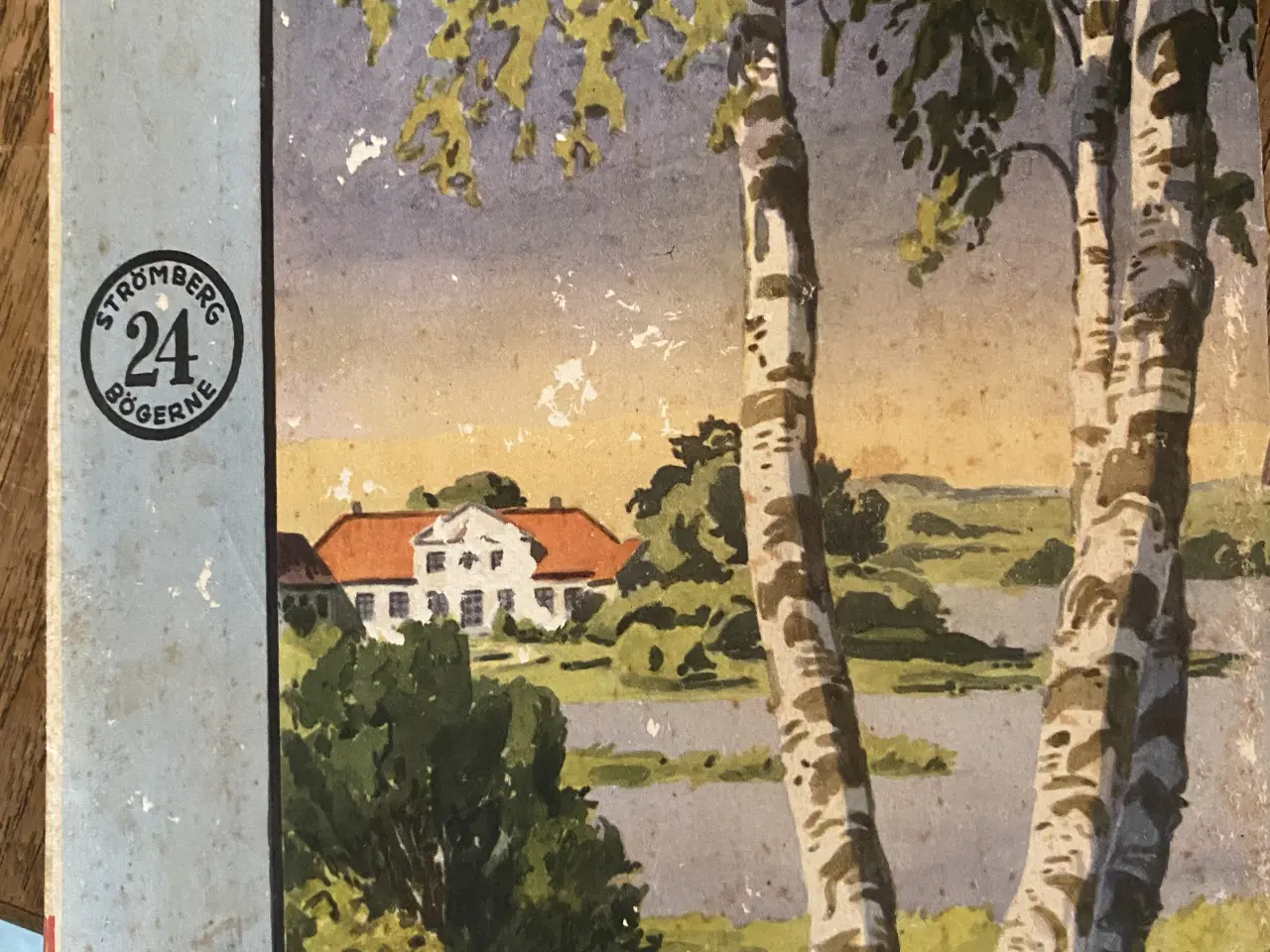 Billede 1 - Leonard Strömberg