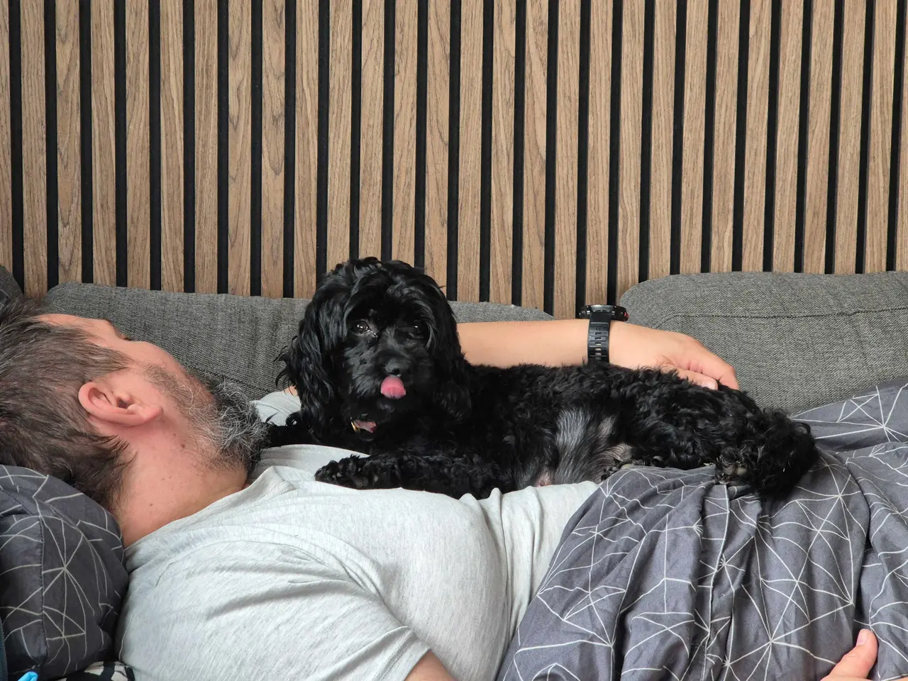 Billede 19 - Lækker cockapoo hvalp
