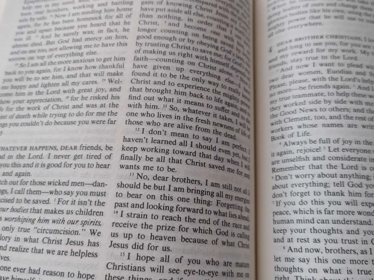 Billede 5 - The living bible 