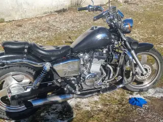 Dadyw regal raptor 250cc