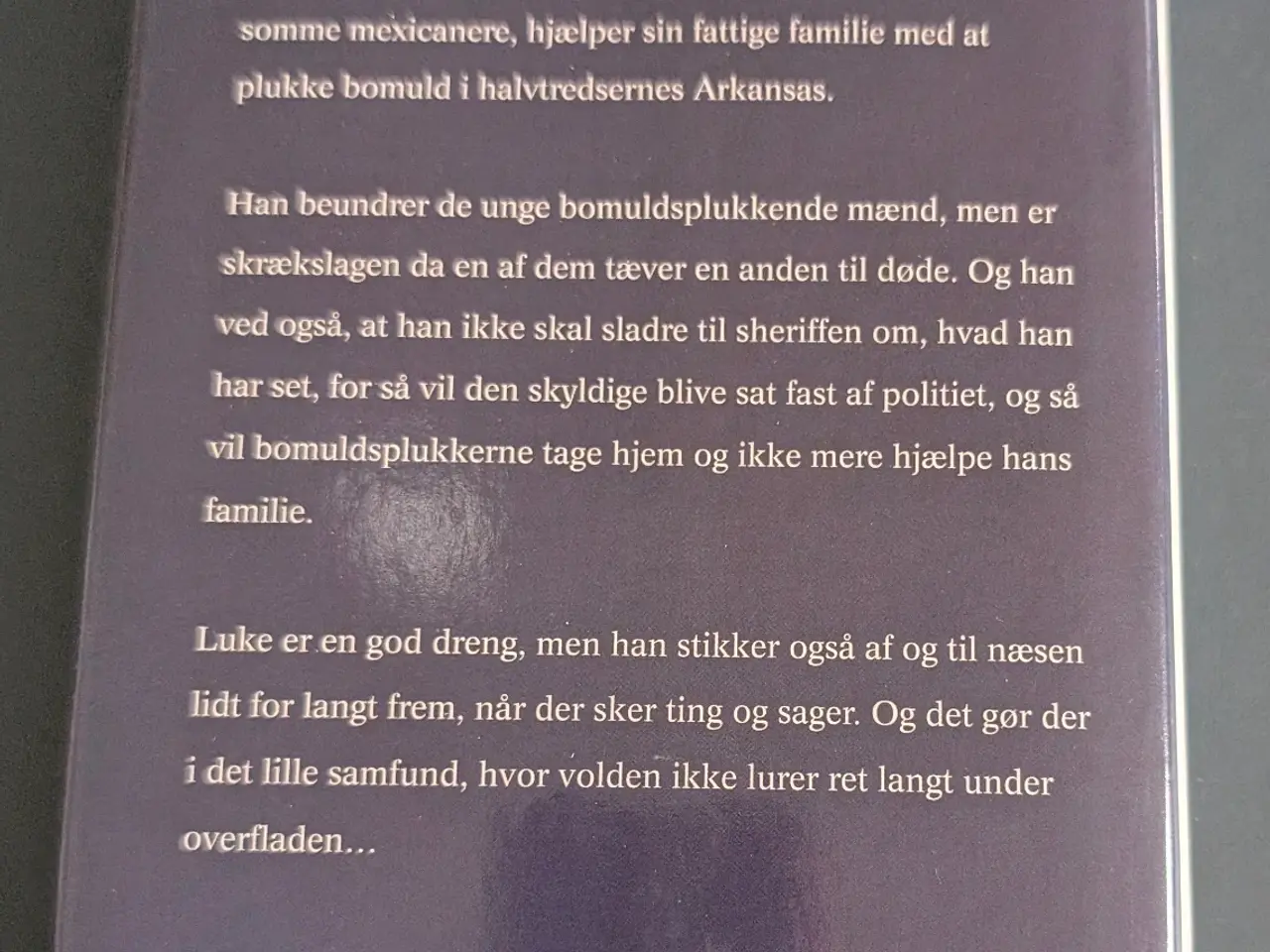 Billede 3 - John Grisham Et malet hus