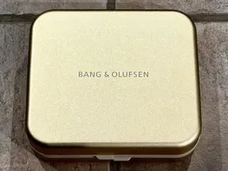 Bang & Olufsen Beoplay H95