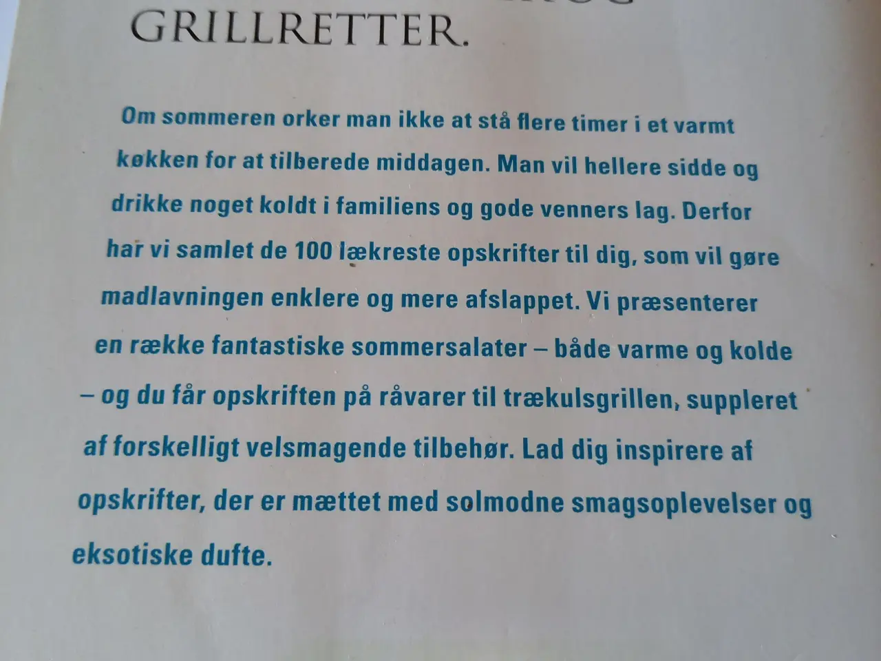 Billede 2 - 100 Grill Salat Opskrifter