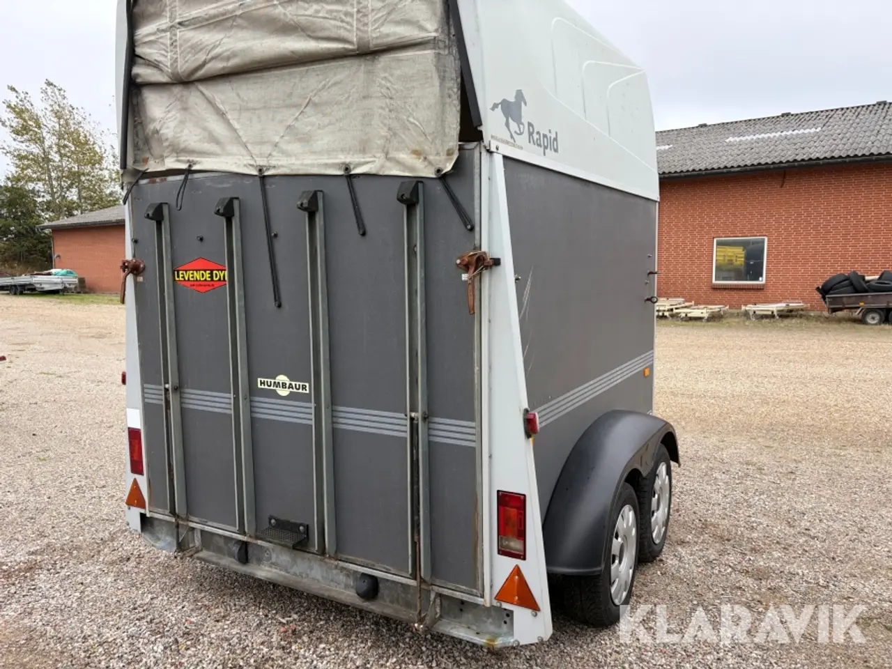 Billede 5 - Trailer Humbaur Rapid