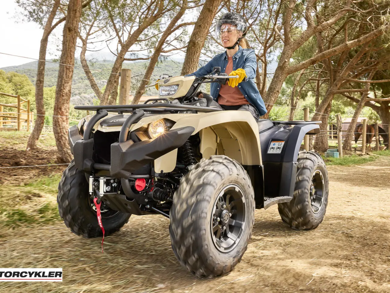 Billede 9 - Yamaha Kodiak 450 EPS SE ALU Diff Lock