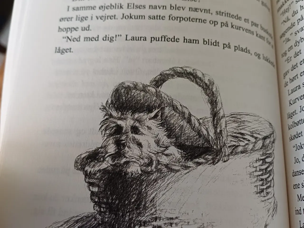 Billede 3 - Jokum den kloge bangebuks