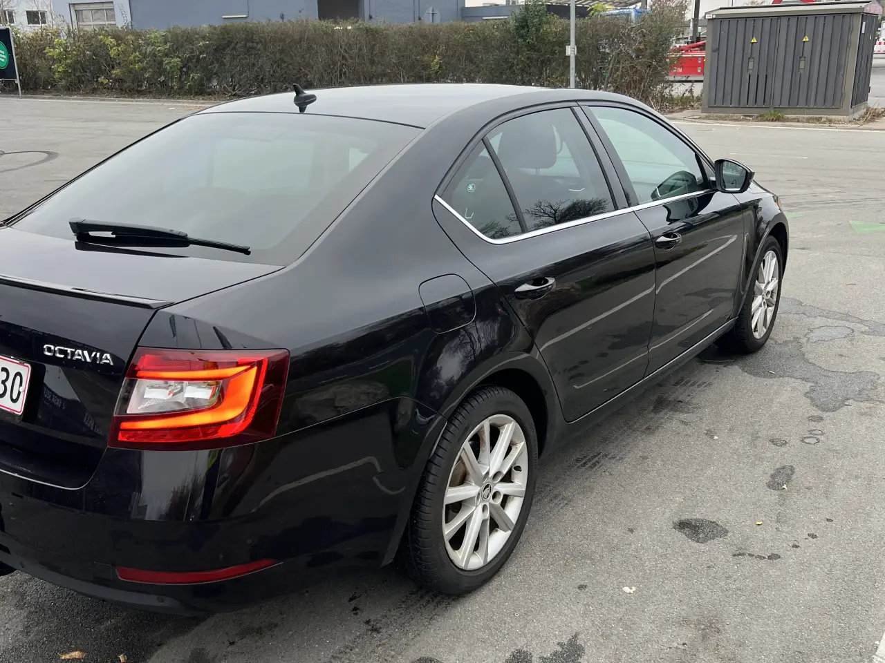 Billede 12 - Velholdt Octavia med lav kilometerstand