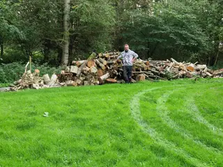 blandet løvtræ sælges
