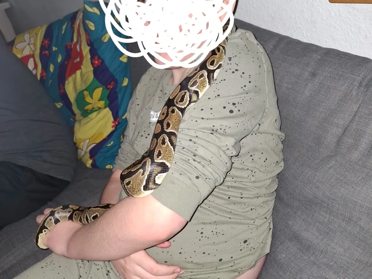 Billede 4 - Kongepython han sælges