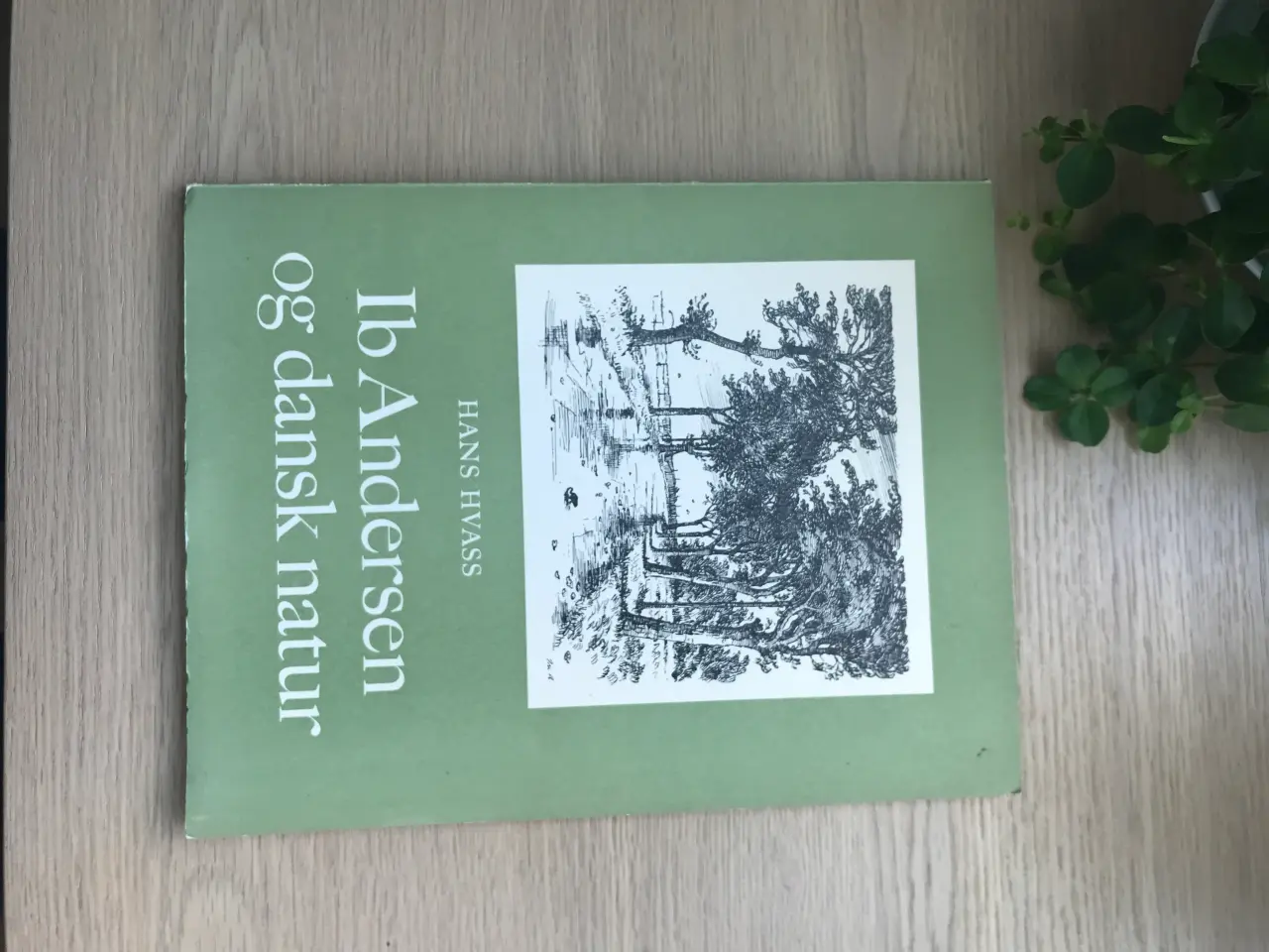 Billede 1 - Ib Andersen og dansk natur af Hans Hvass