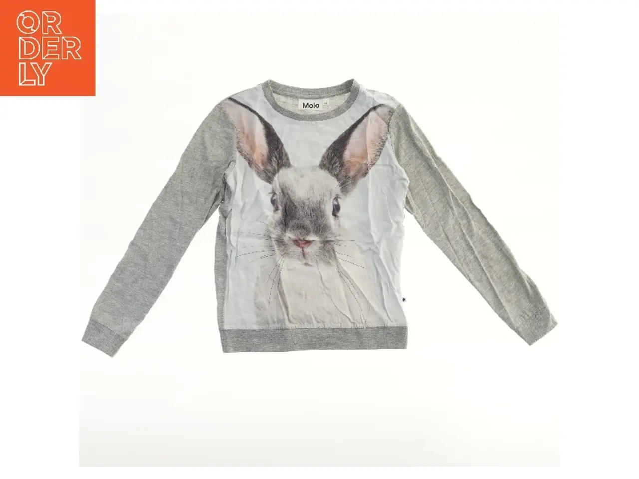 Billede 2 - Molo bluse med kaninprint (str. 140)