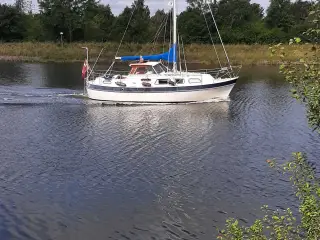 Finnsailer 29 sælges