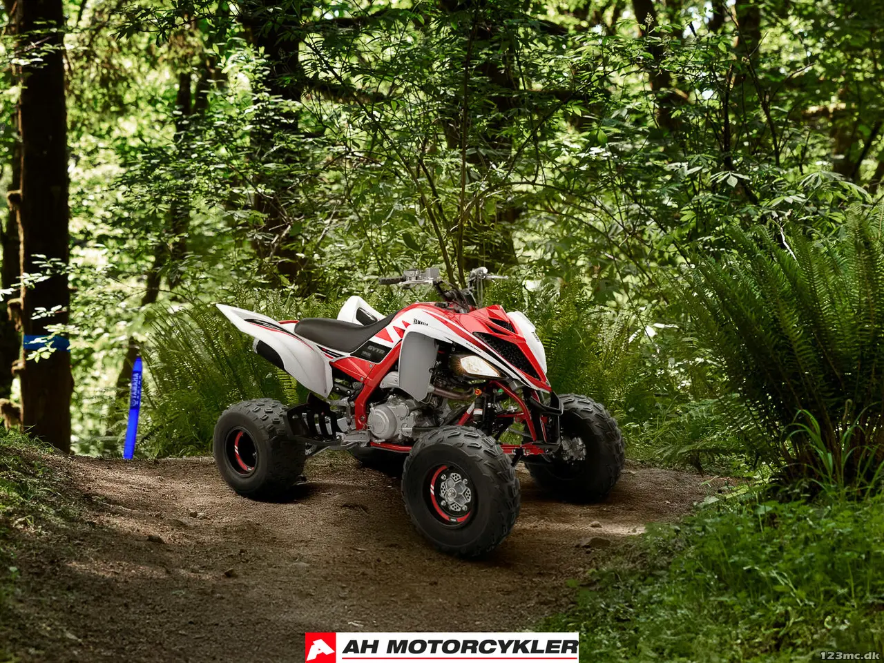Billede 7 - Yamaha YFM 700 R 70th Anniversary Edition