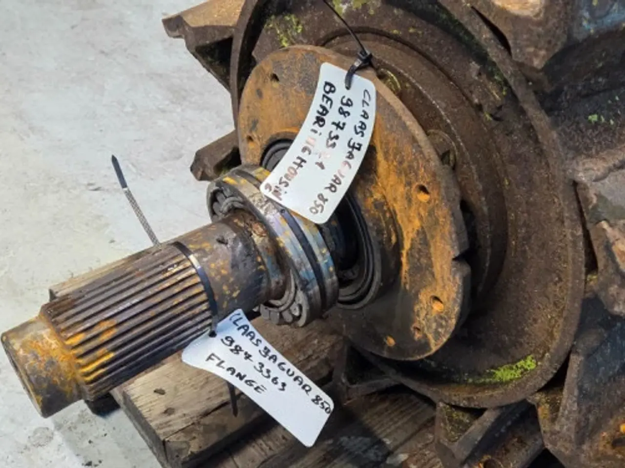 Billede 10 - Claas Jaguar 850 Knivtromle 4952940