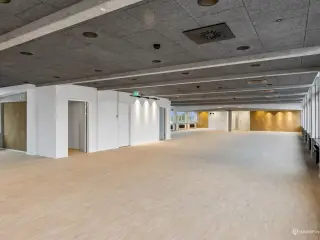 Tag erhvervslivet til nye højder i Herlev