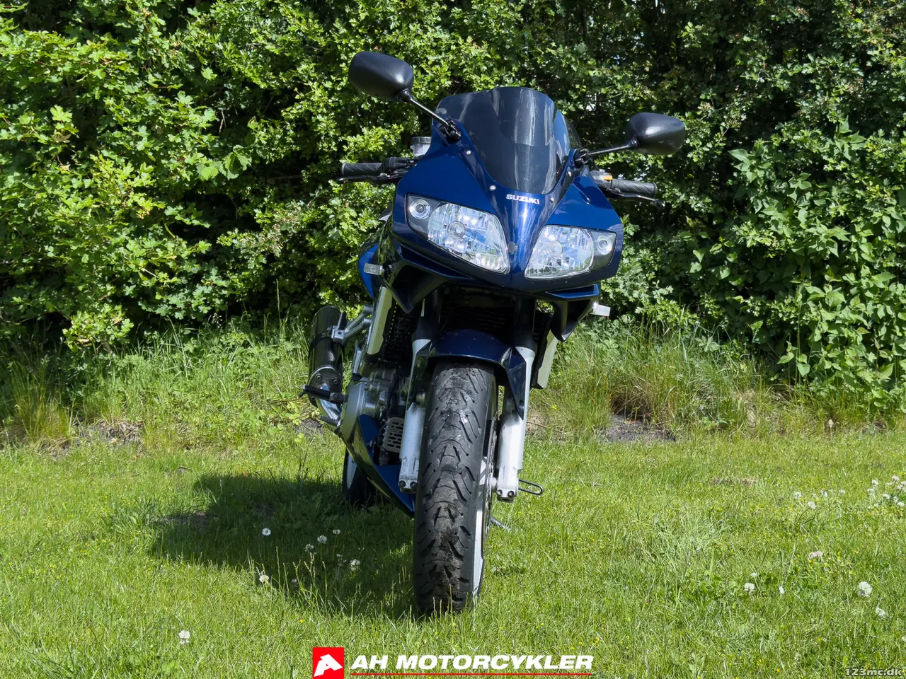 Billede 3 - Suzuki SV 1000 S