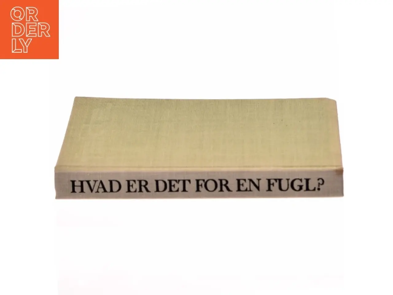 Billede 2 - HVAD ER DET FOR EN FUGL?