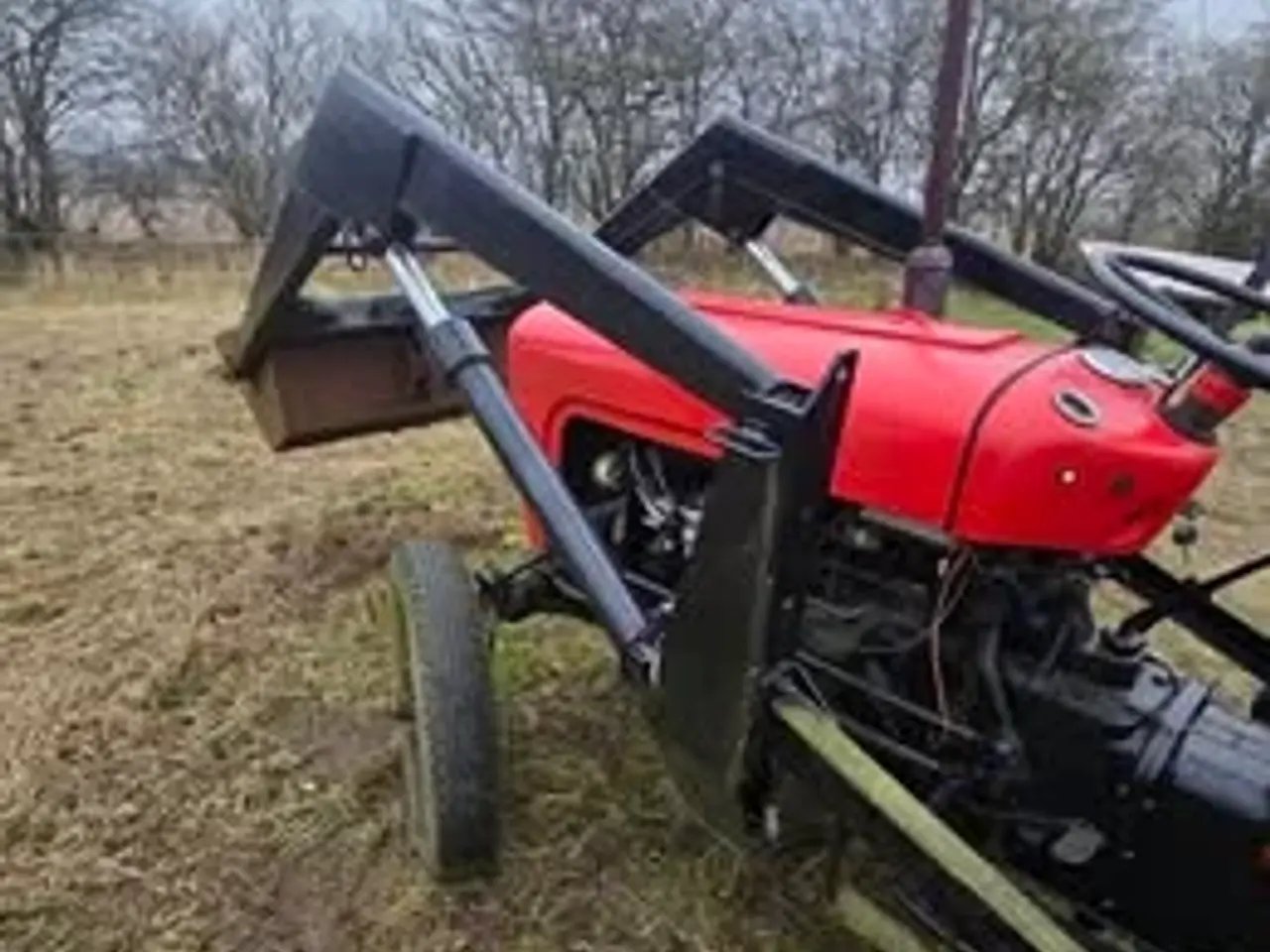 Billede 1 - Massey ferguson MF35 benzin