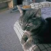 Kim744