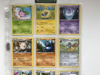 Pokémon - Steam Siege