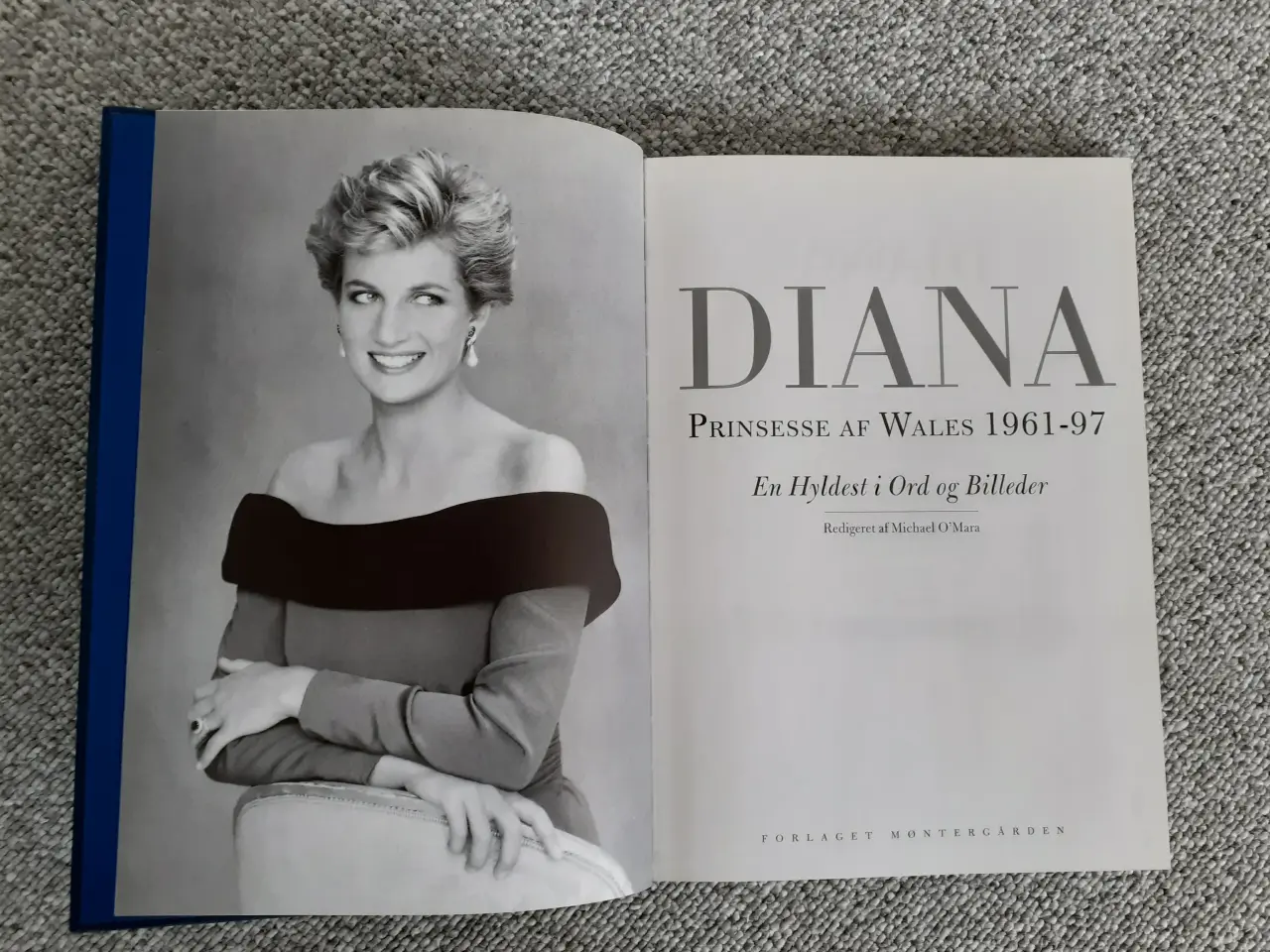 Billede 1 - Diana bog