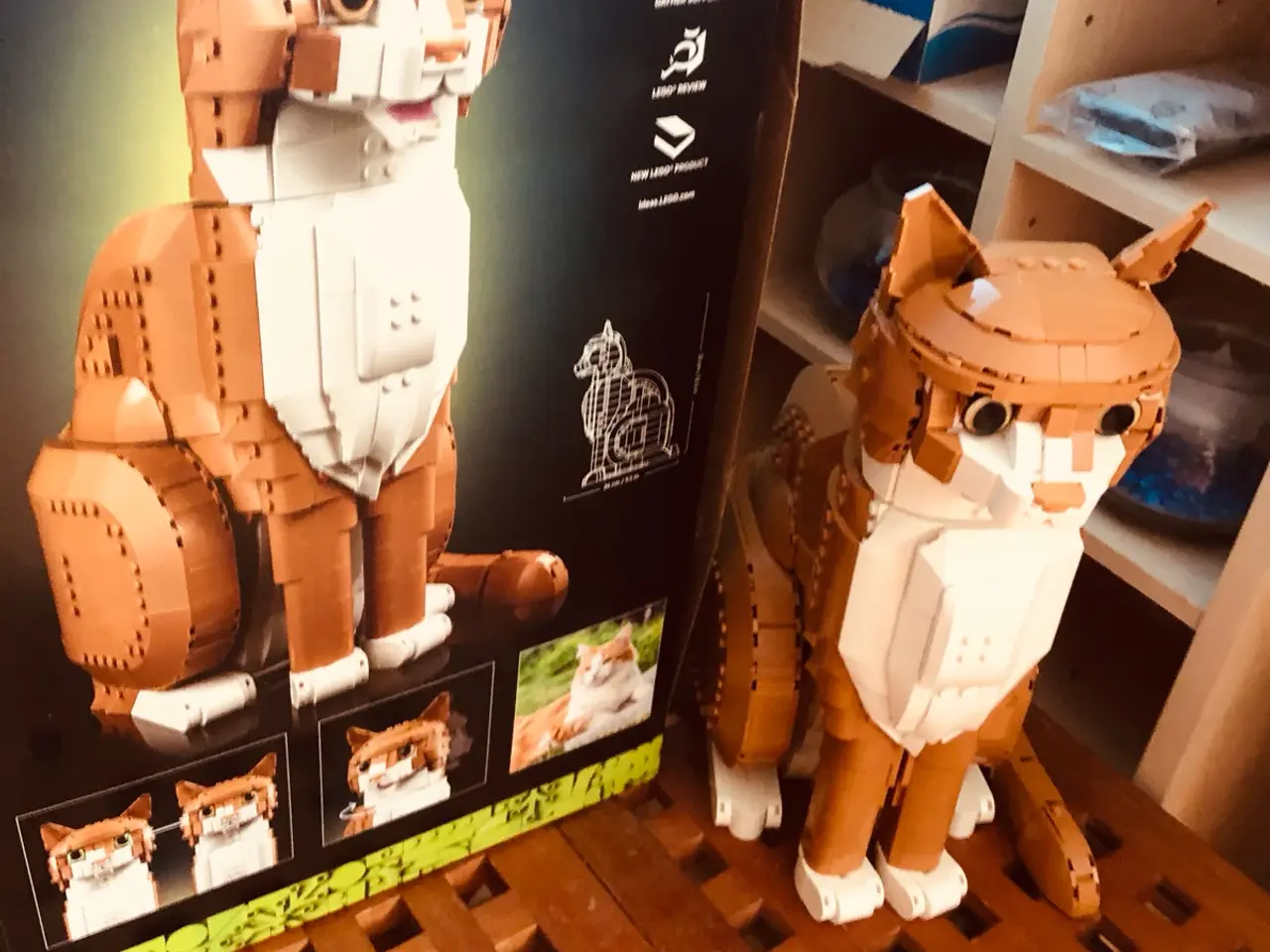 Billede 2 - Lego Icons 21376 Orange Kat