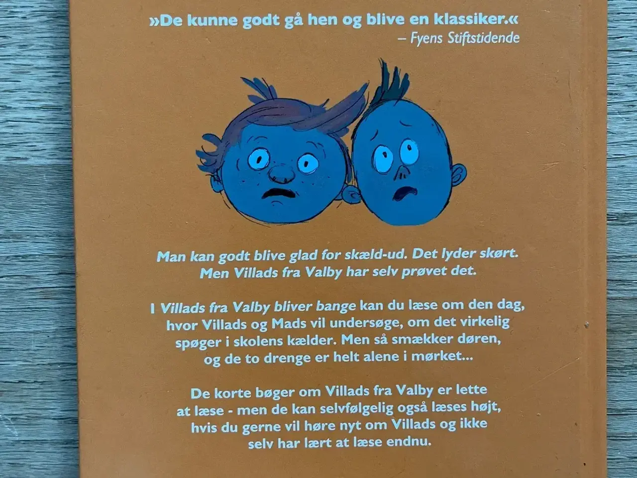 Billede 9 - Villads fra Valby Læs selv