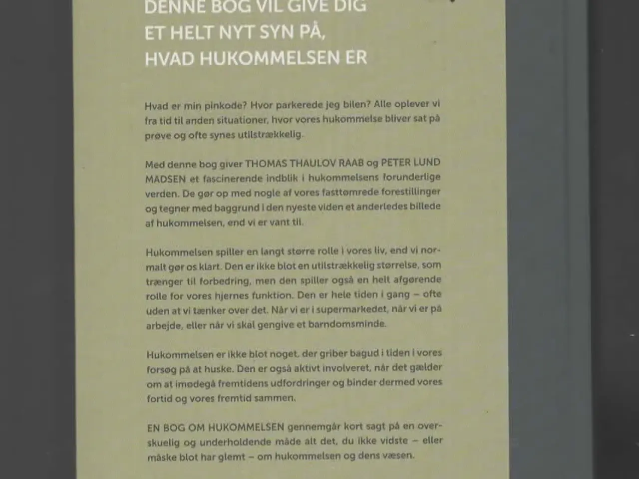 Billede 1 - hukommelse