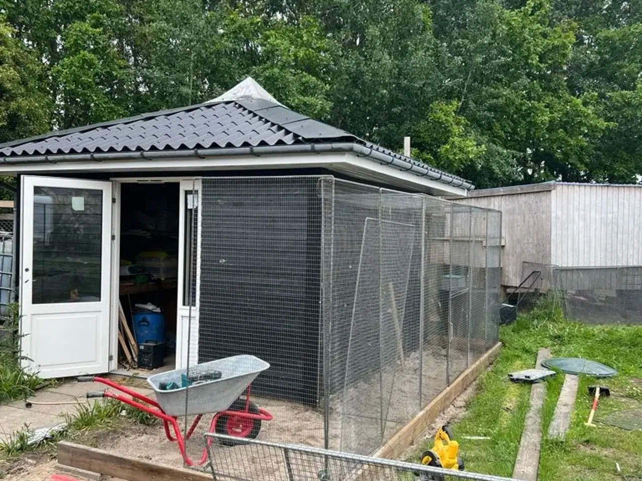 Billede 2 - Jeg henter gratis fugle til privat hjem