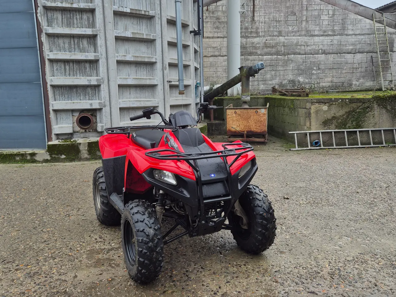 Billede 5 - ATV Polaris Trailboss 330 2×4 2010