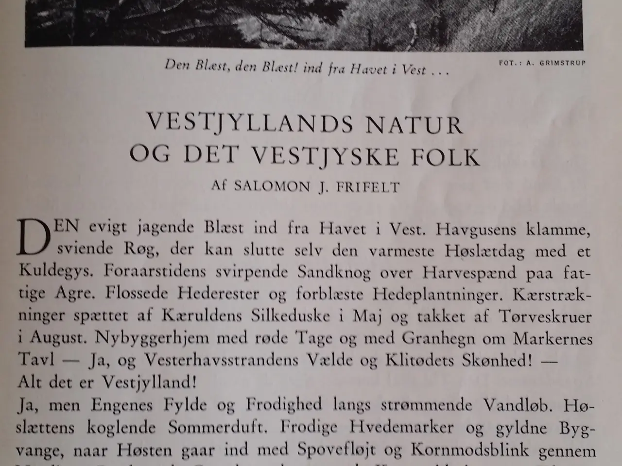Billede 1 - Hardsyssel Årbog 1951