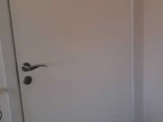 Hvid Swedoor