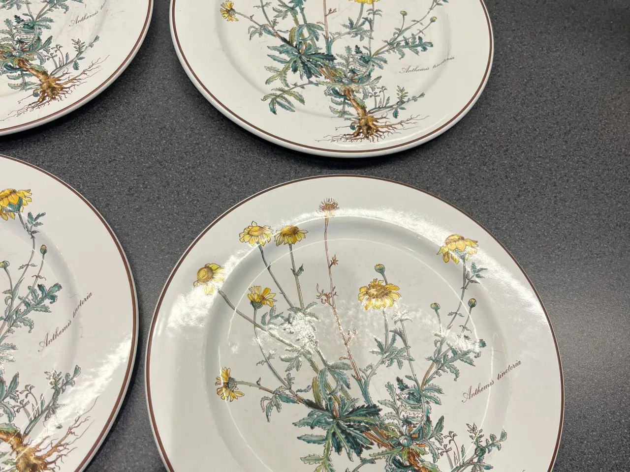 Billede 4 - Villeroy & Boch - Botanica 6 stk middagstallerkene