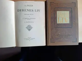 Dyrenes liv