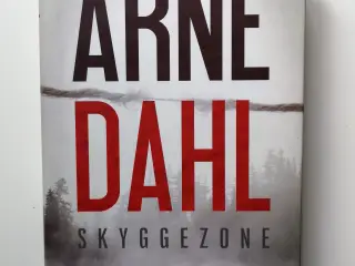 Skyggezone - Arne Dahl