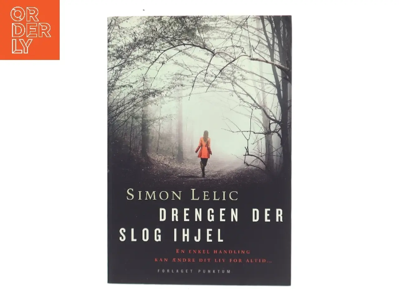 Billede 1 - Drengen der slog ihjel af Simon Lelic (Bog)