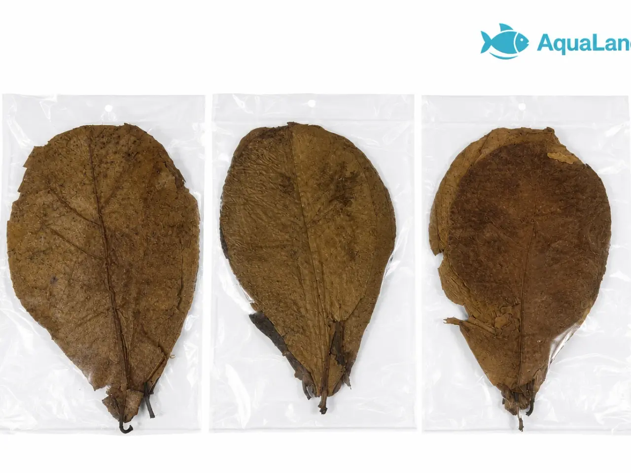 Billede 4 - 🍂 CATAPPA-BLADE TIL AKVARIUM 🍂
