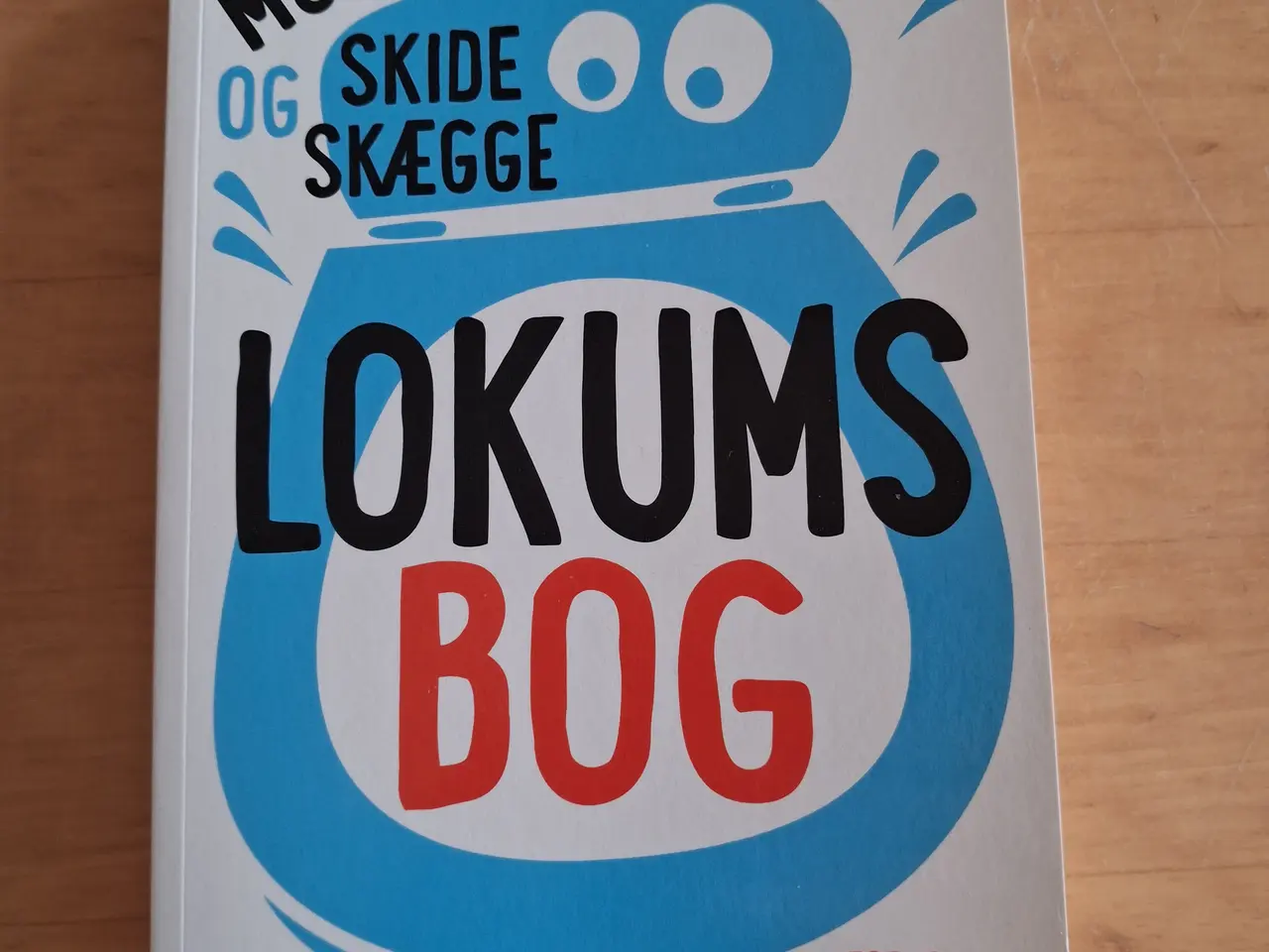 Billede 1 - Lokumsbog