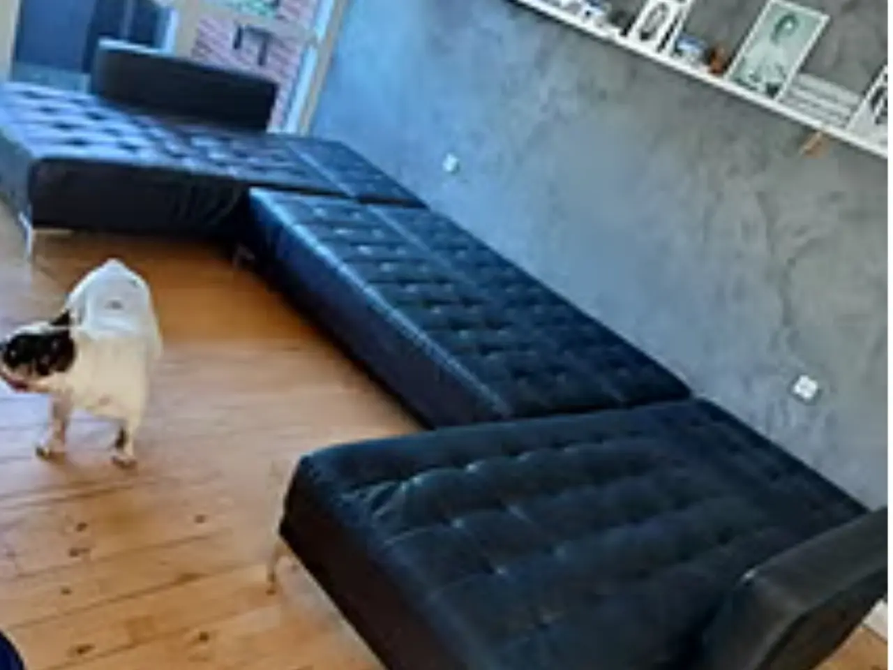 Billede 2 - Flot læder sofa med chaiselong 