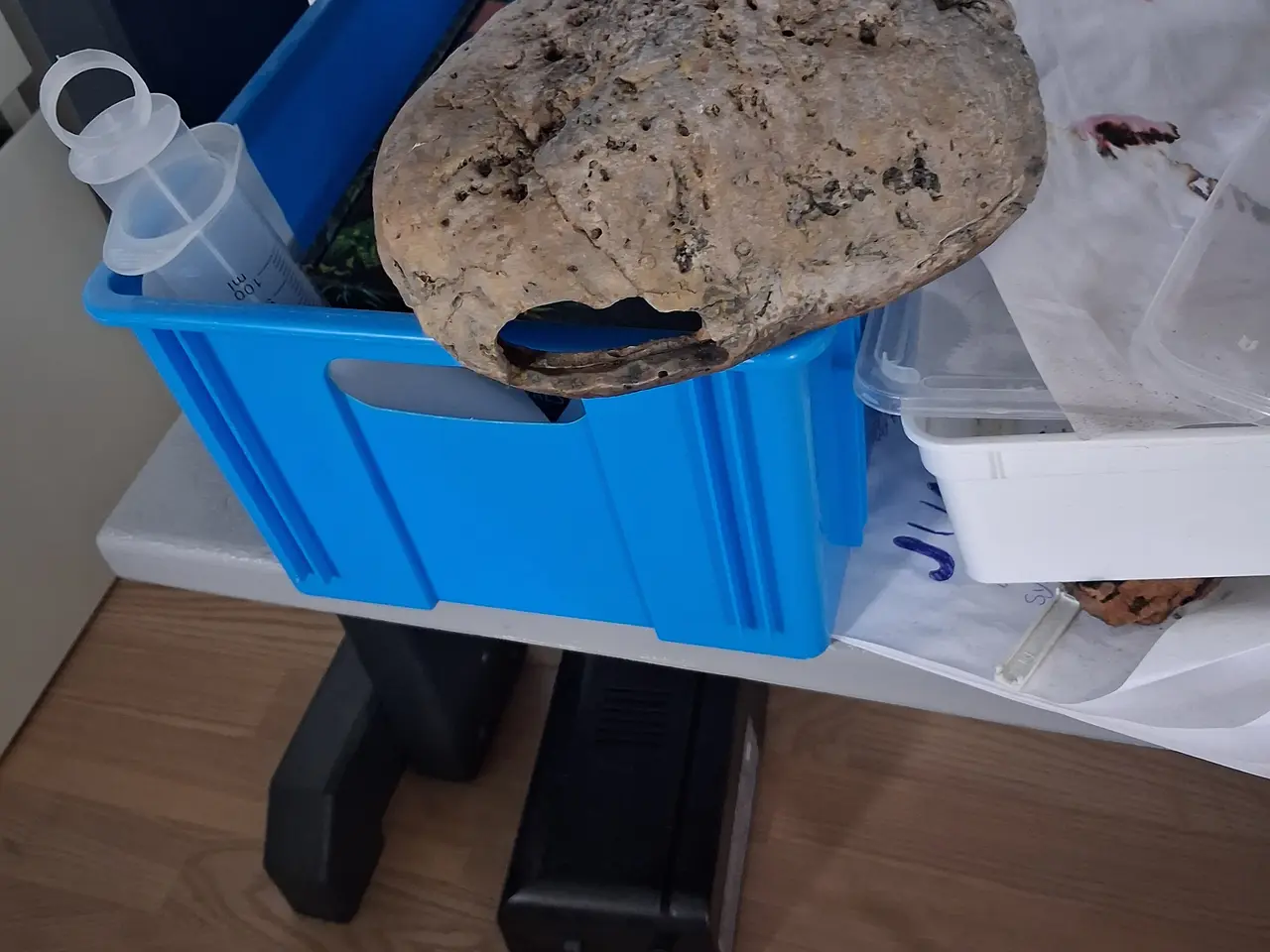Billede 8 - Stort terrarium evt med gekkoer