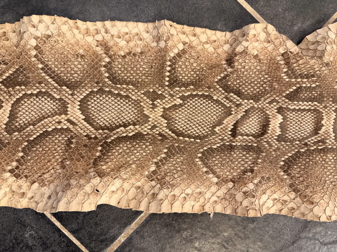 Billede 3 - Slangeskind “python”